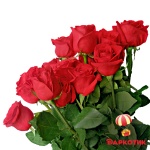 15 red Dutch roses bouquet 