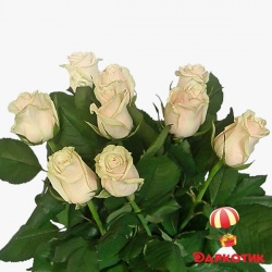 9 white Dutch roses bouquet 