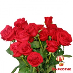 21 red Dutch roses bouquet 