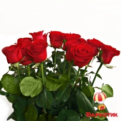 15 red roses bouquet 