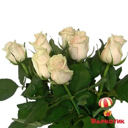 7 white Dutch roses bouquet 